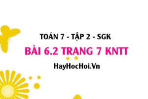 Bài 6.2 trang 7 Toán 7 Tập 2 Kết nối tri thức